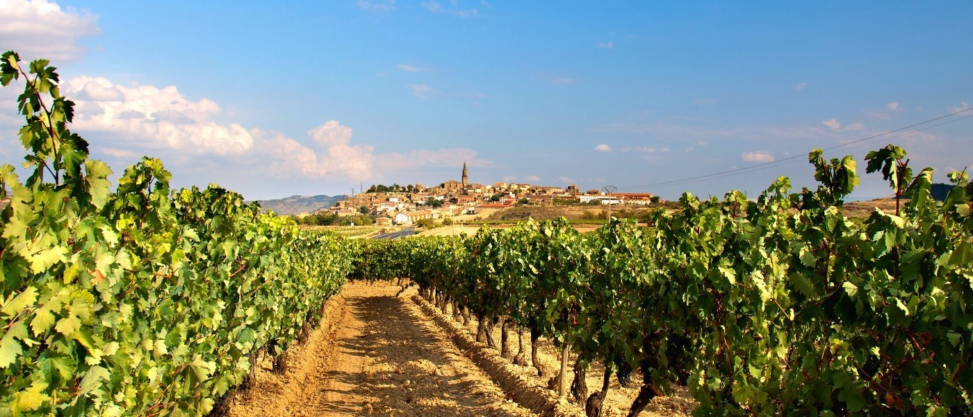 Rioja wine village